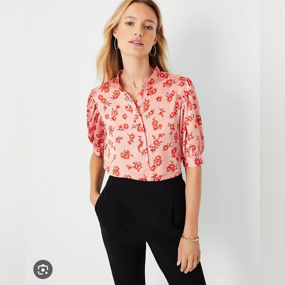Ann Taylor short sleeve blouse (petite size XS)